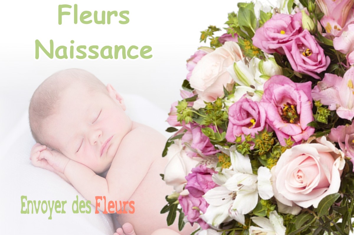 lIVRAISON FLEURS NAISSANCE à JARRIE